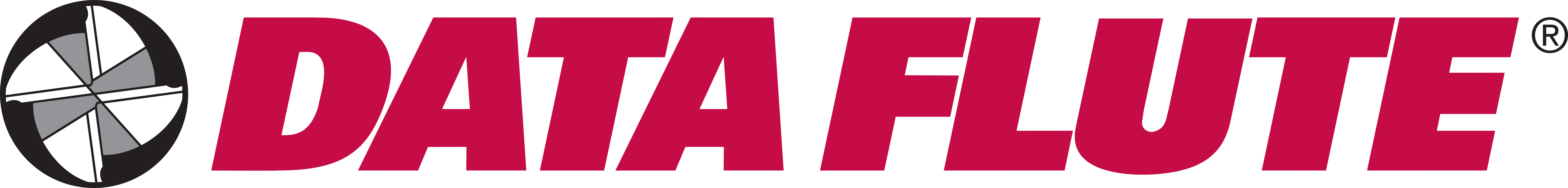 DataFlute Logo